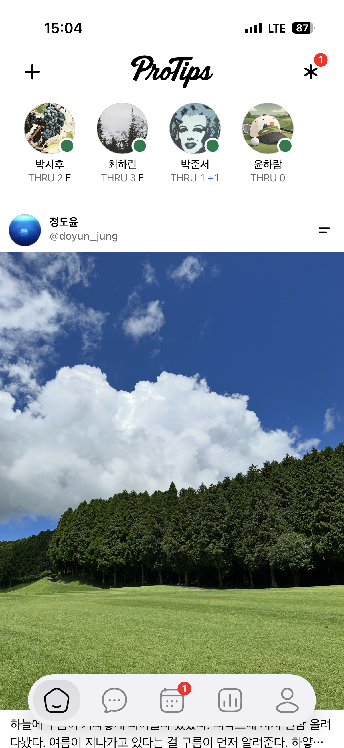 ProTips home screen preview